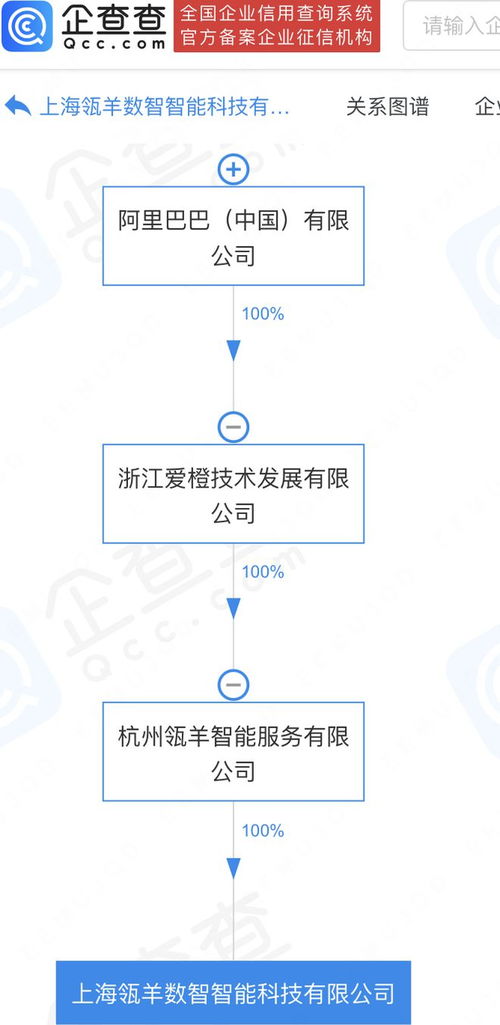 阿里巴巴旗下瓴羊數(shù)智科技公司落戶上海，加速數(shù)據(jù)處理與存儲(chǔ)服務(wù)布局